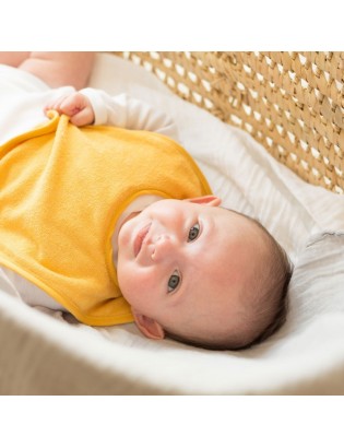 LOT 5 BAVOIRS BIB UP