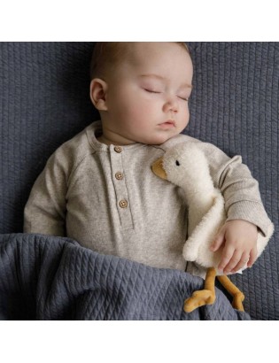 PELUCHE LITTLE GOOSE PETITE